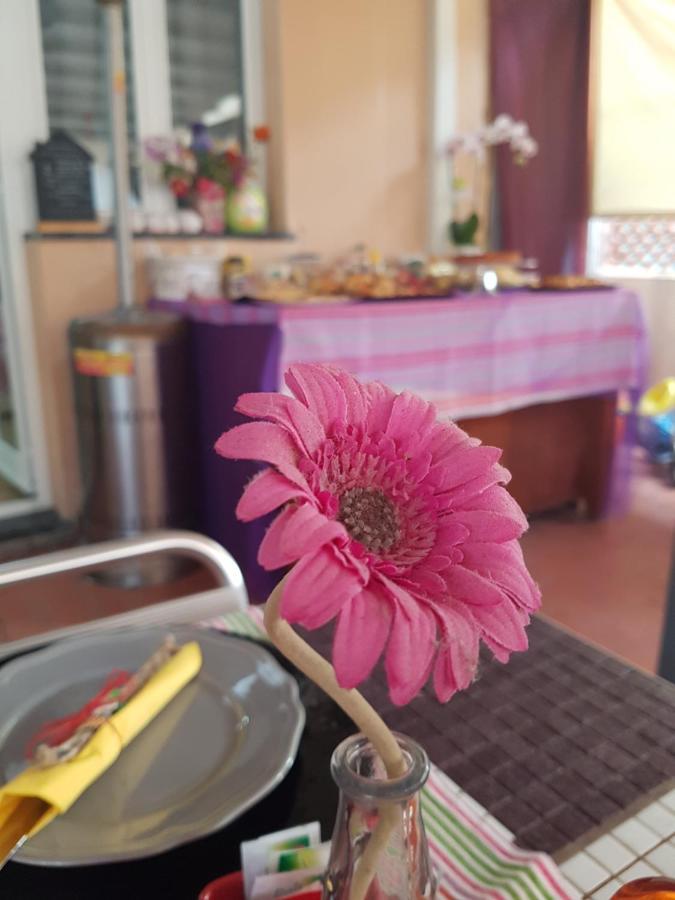 Bed and Breakfast Ghiro Ghiotto à Pietra Ligure Extérieur photo